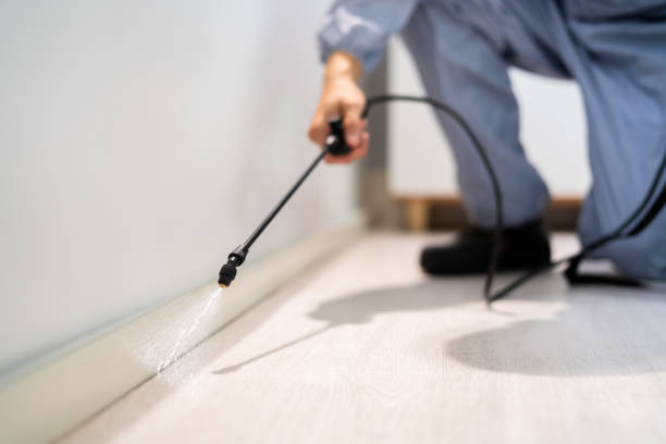 Licensed Pest Control service in Lewistown, MT - Show Me Pest Control