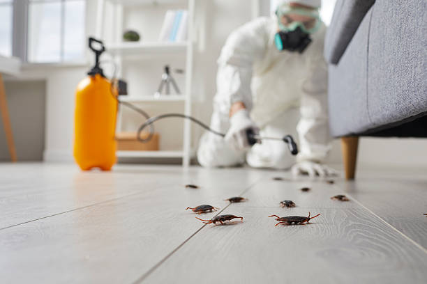 Commercial Rodent Management in Lewistown